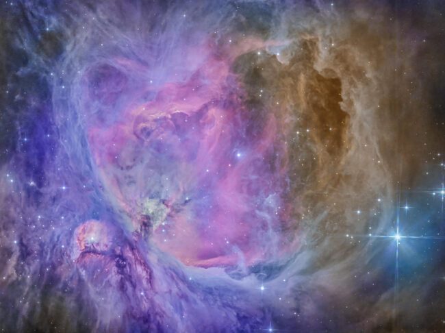 Rikesh Patel